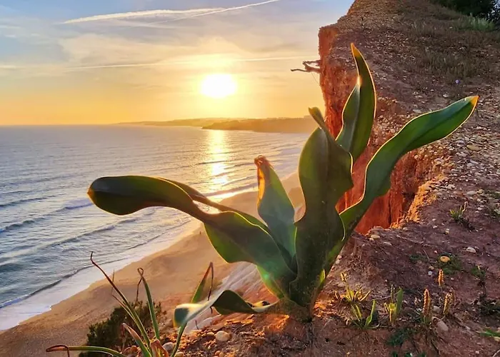 Vakantiehuis Casa Da Aldeia Olhos de Agua (Albufeira)