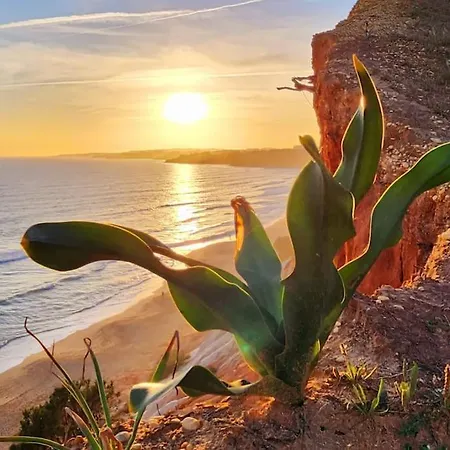 Semesterbostad Casa Da Aldeia Olhos de Agua (Albufeira)
